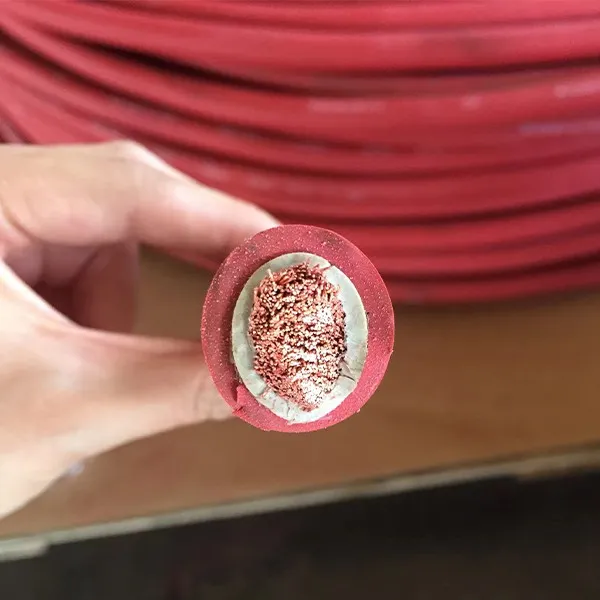 H96f3e62ffbed4cceb7215a7ff06ad1e5G_